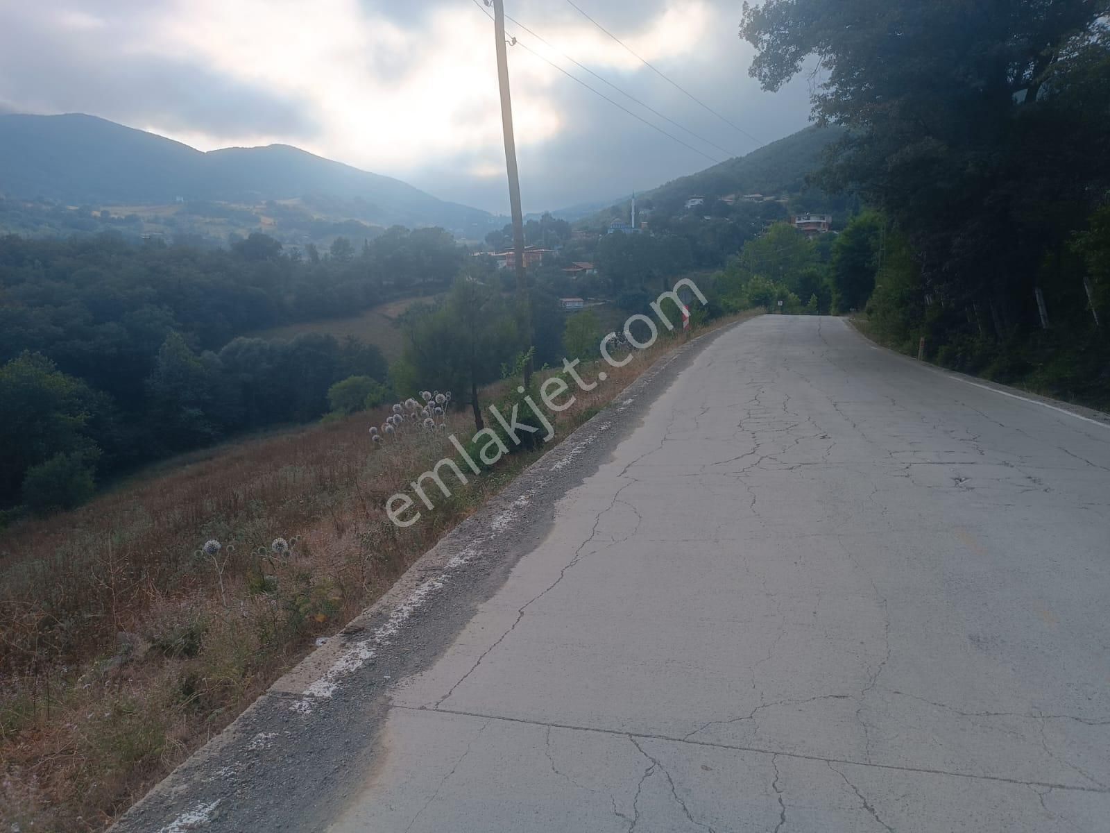 Samsun Atakum Akalan'da Tek Tapu 2.169 M² Satılık Tarla - Görsel 14