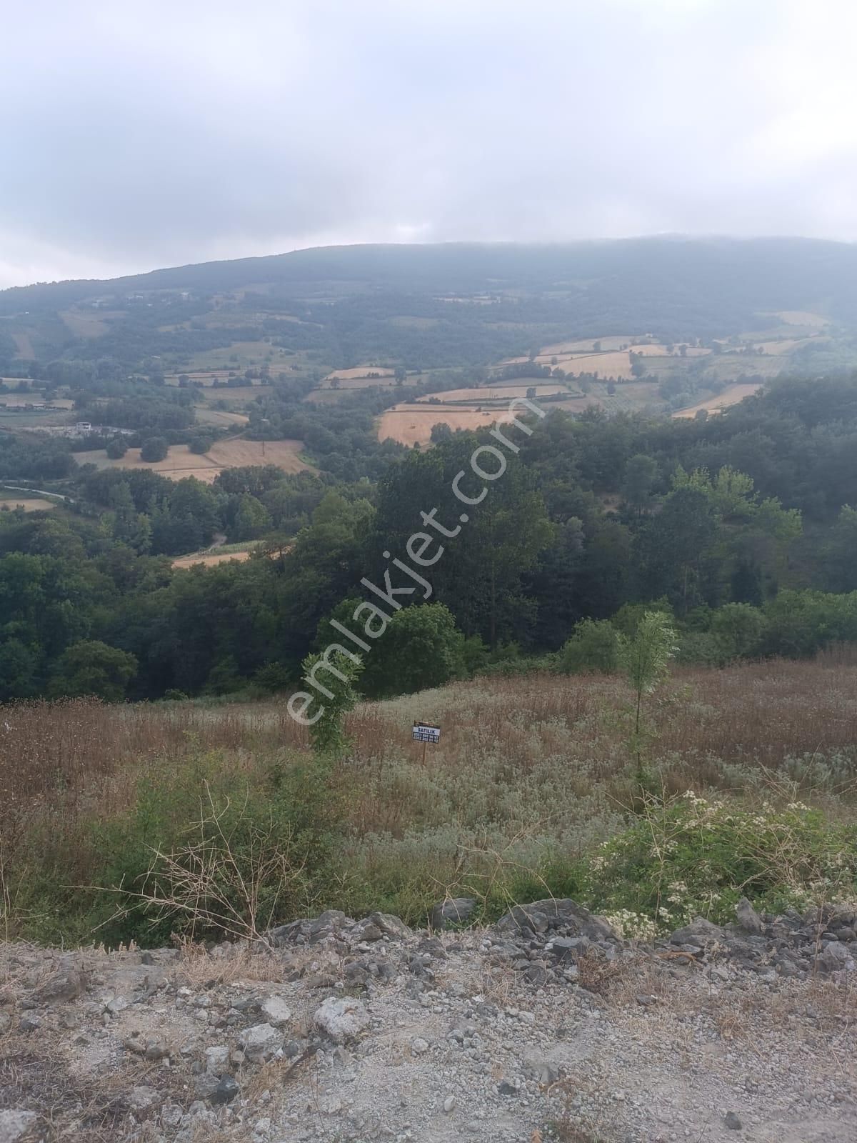 Samsun Atakum Akalan'da Tek Tapu 2.169 M² Satılık Tarla - Görsel 9