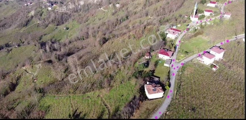 🚨 Kısa Süre Geçerli Fiyat 🚨- Satılık Arsa İçinde Ev İle Beraber 28 Dönüm Fındık Bahçesi - Görsel 4