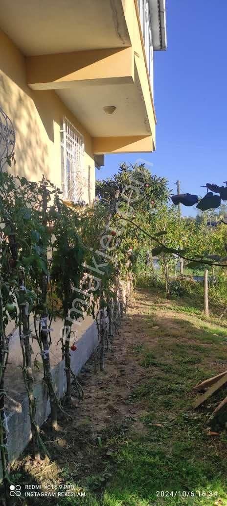 🚨 Kısa Süre Geçerli Fiyat 🚨- Satılık Arsa İçinde Ev İle Beraber 28 Dönüm Fındık Bahçesi - Görsel 28