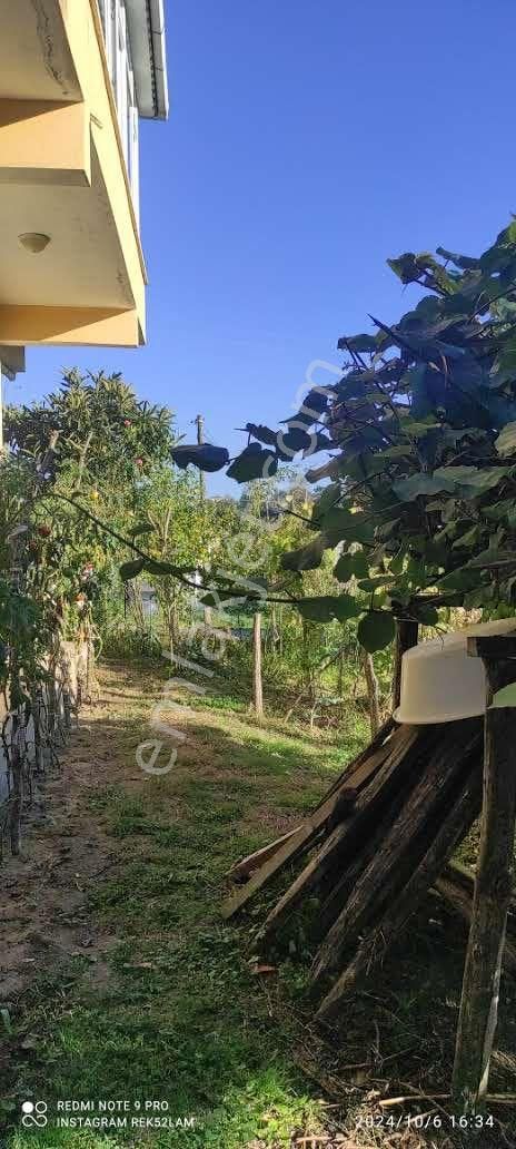 🚨 Kısa Süre Geçerli Fiyat 🚨- Satılık Arsa İçinde Ev İle Beraber 28 Dönüm Fındık Bahçesi - Görsel 16