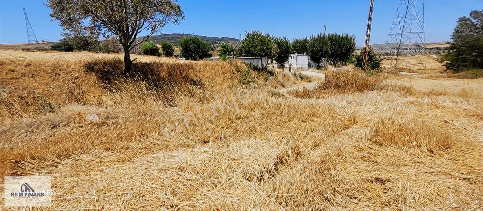Çanakkale Gelibolu Sütlüce'de Köprü Girişinde Satılık Tarla - Görsel 2