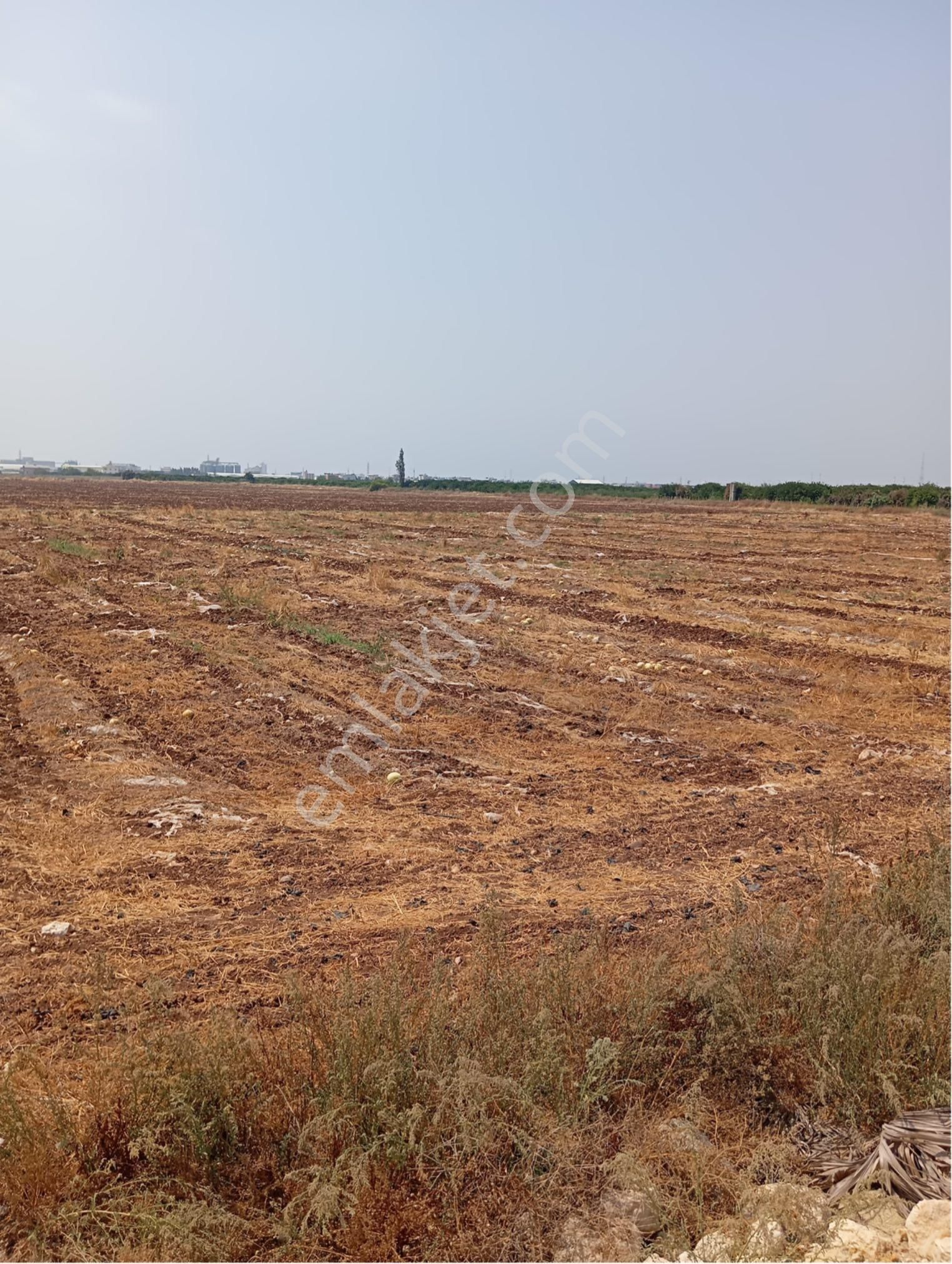Mersin Bekirde Mh De Satılık Ticari Arsa