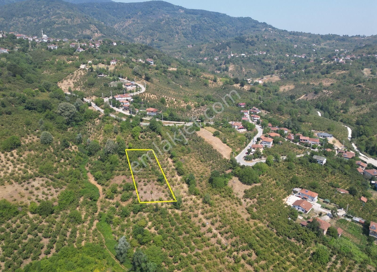 Düzce Merkez Suncuk Köyü'nde 2156 M2 Satılık Arsa