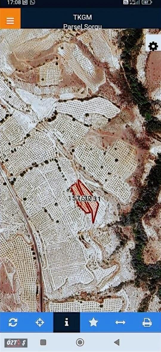Ürgüp Sofularda İki Adet Bitişik Bahçe