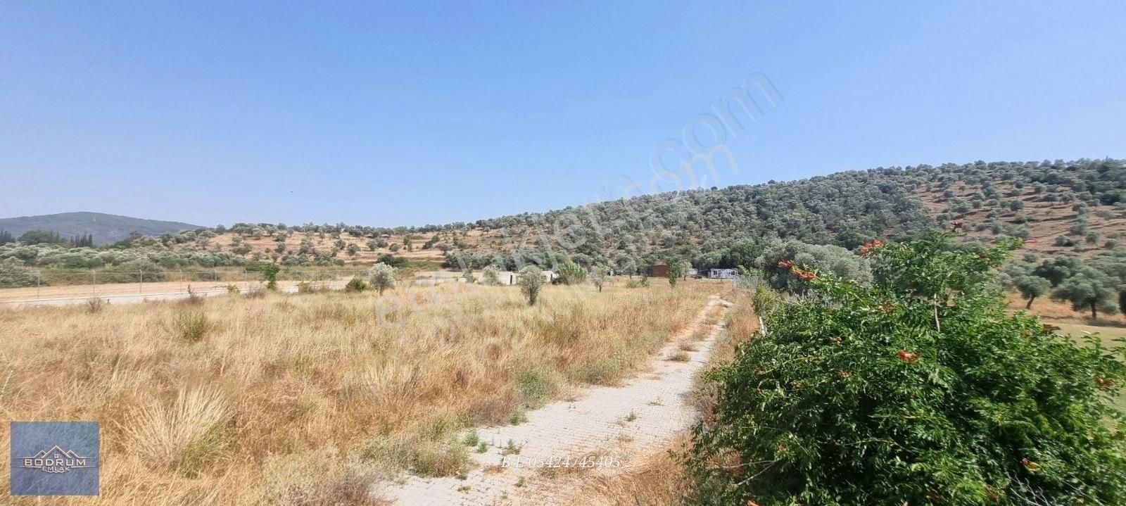 Bodrum Güvercinlik Yakını 14.400m2 Tarla Elektrik Su Var