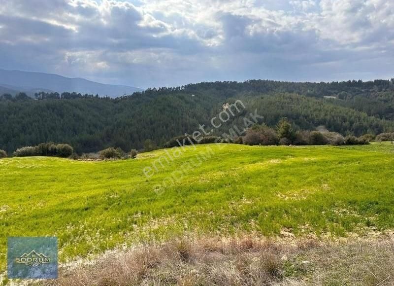 Muğla Kavaklıdere Menteşe 11.400m2