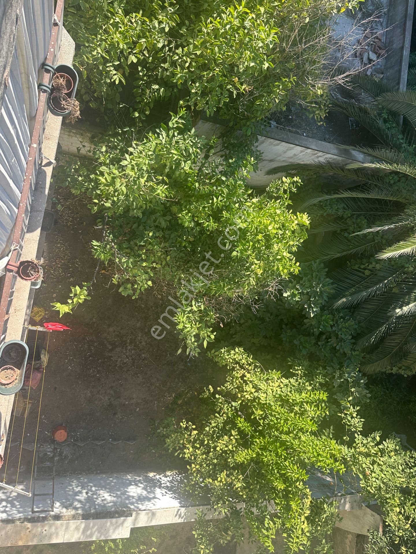 🎉🎉 Nazilli Çarşıda 2 Dükkan Ve 3 Daire Satılıktır 🎉🎉 - Görsel 4