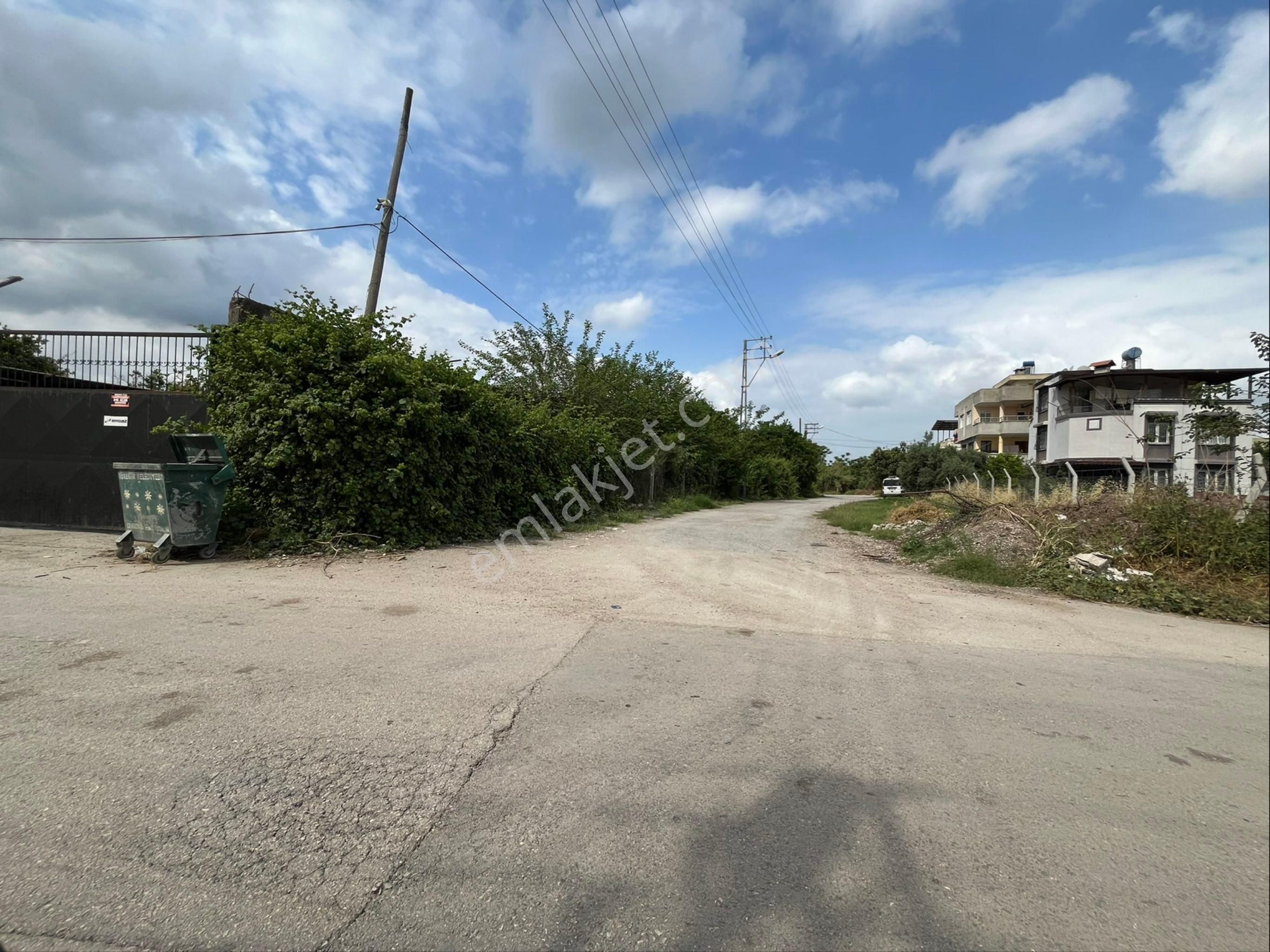 Seyhan Mahallesi Çarşamba Semt Pazarı Civarı Satılık 1348m2 Arsa - Görsel 2