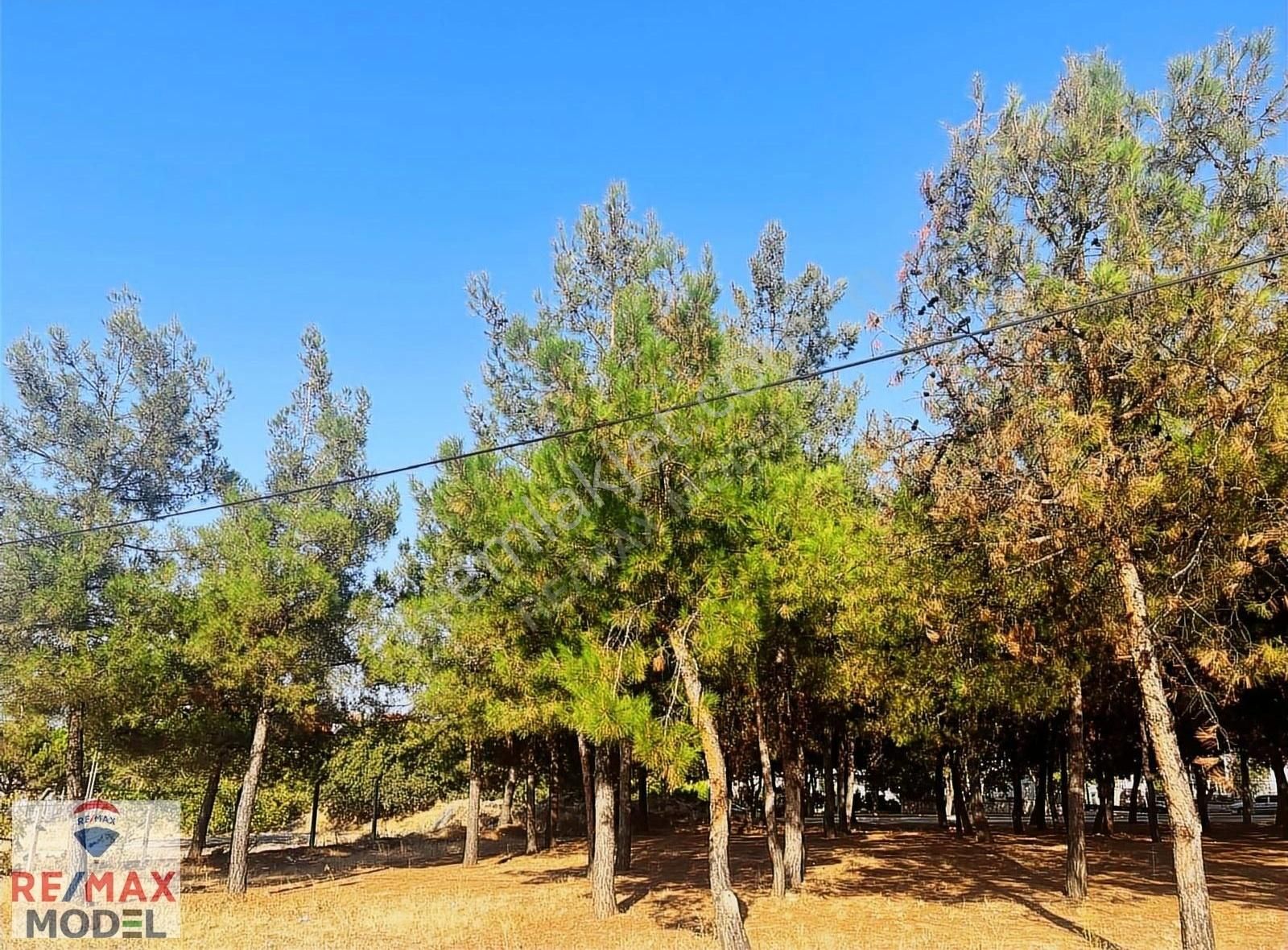 Remax Model Denizli'den Yürüyüş Yolu Mevki Satılık Arsa