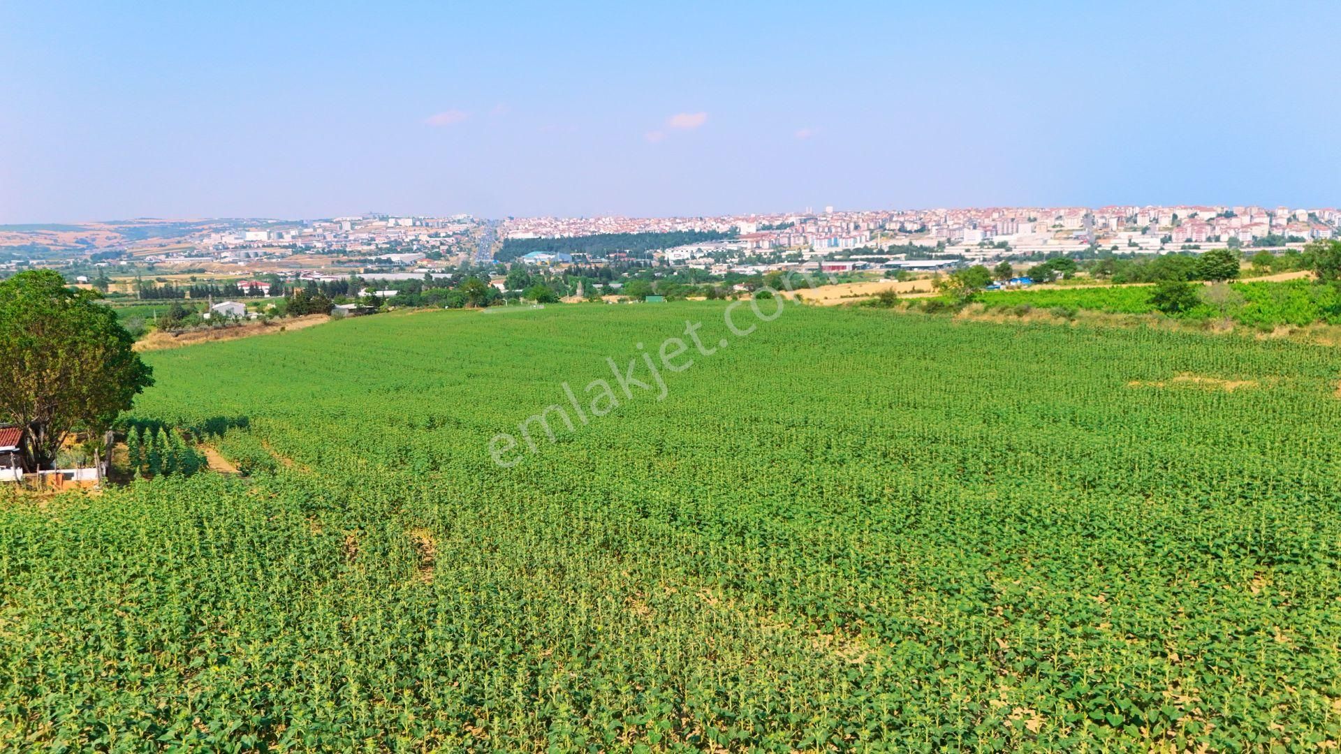 Süleymanpaşa Yavuz Mahallesi’nde – Şehir Merkezine Çok Yakın!