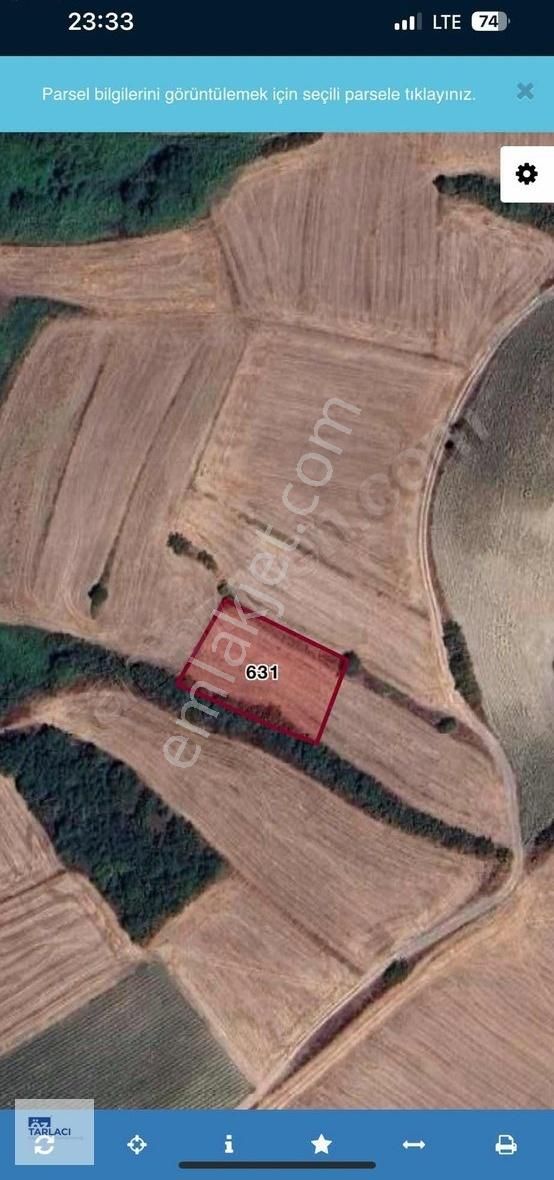 Öztarlacıdan Ada Köy Satılık Tarla Hobi Bahçesi 1500 M2
