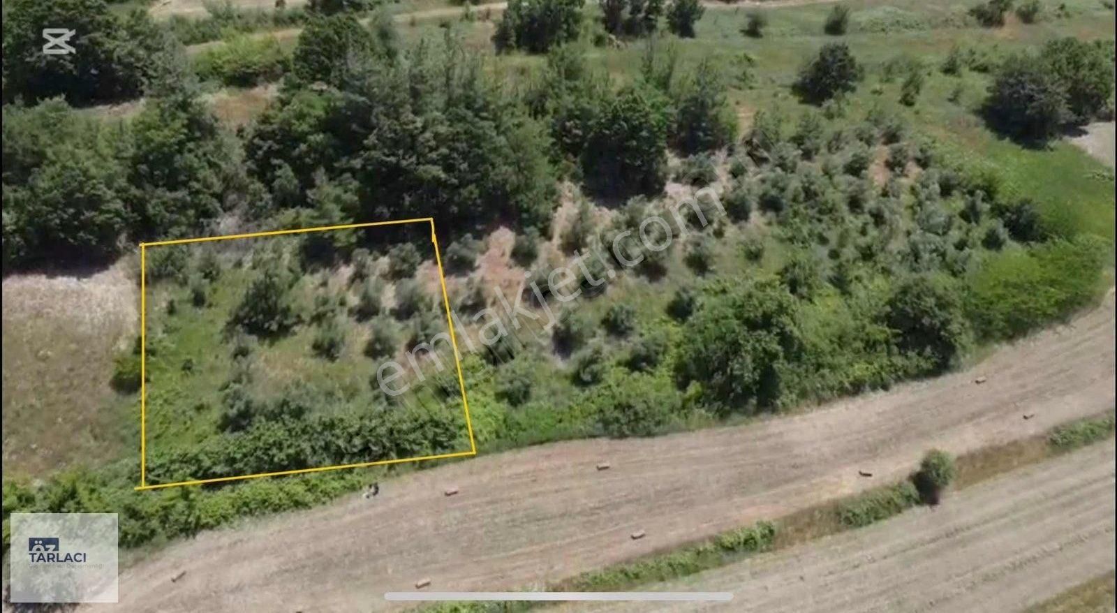 Mkp Yoncaağaç 1050m Satılık Bağ