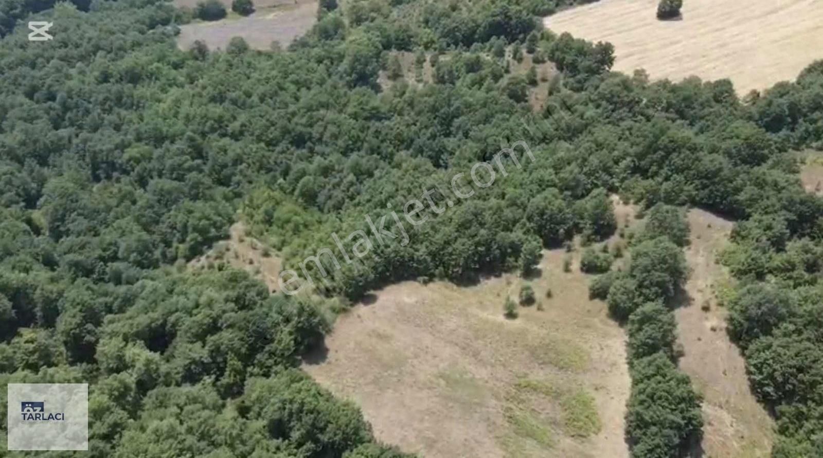 Tümbüldek Kaplıcalarında 1.000m Tarla
