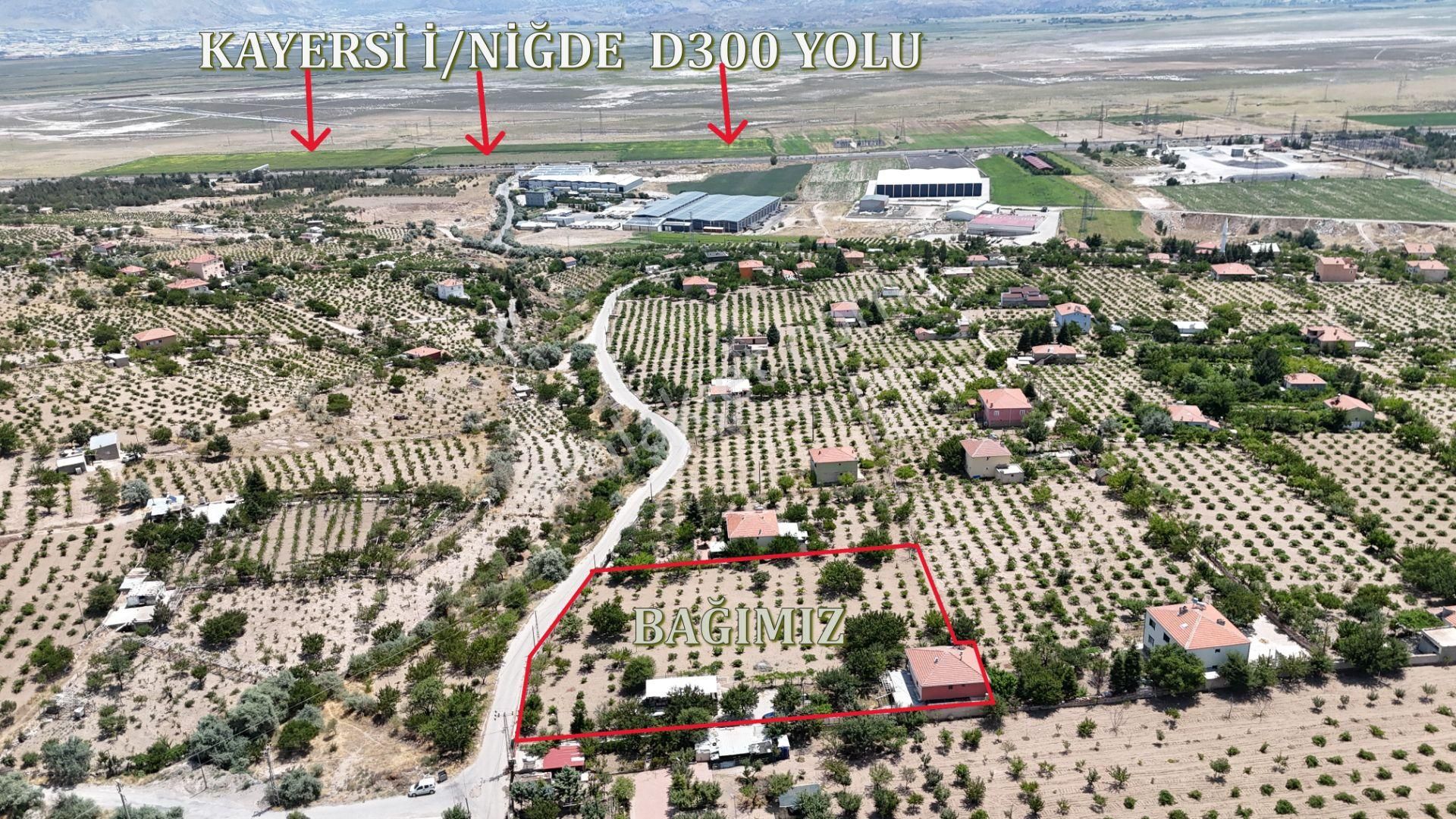 İncesu Bedirbağları'nda 4189 M2 Arsalı Evli Bağ