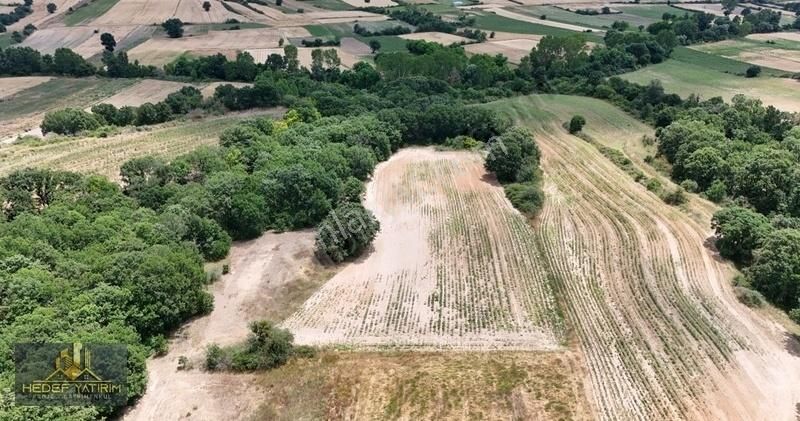 Organize Bölgesinde Tek Tapu Asfalta Yakın Arazi [ 6.500 M2 ]