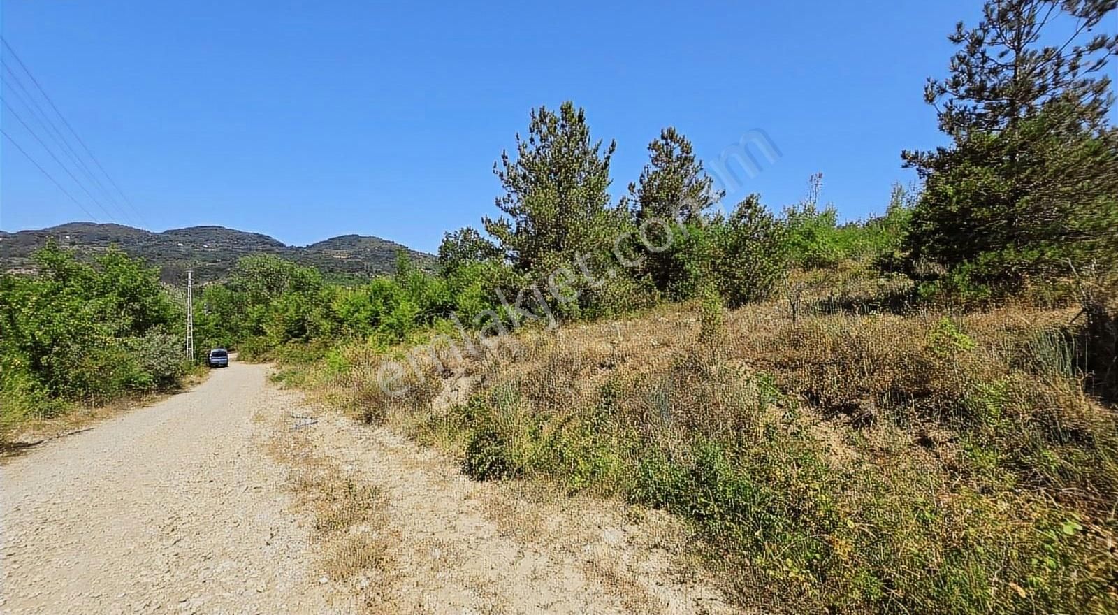 Cide İlkim Emlak'tan Satılık Arsa 2176 Metrekar
