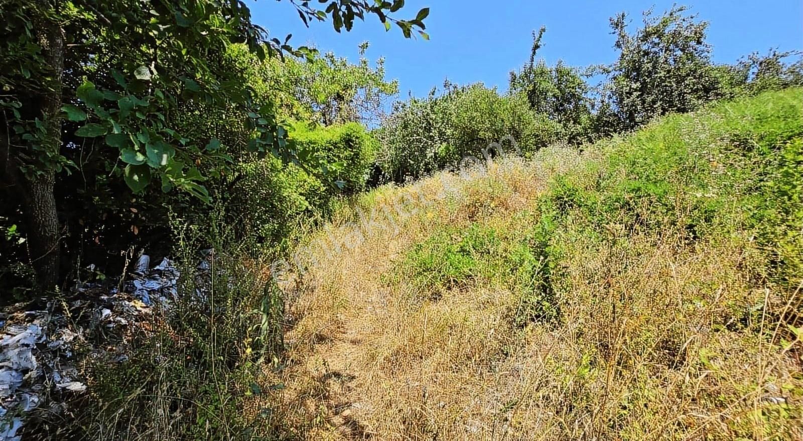 Cide Bağyurdu Mahallesi'nde Satılık Tarla 1056 Metrekare