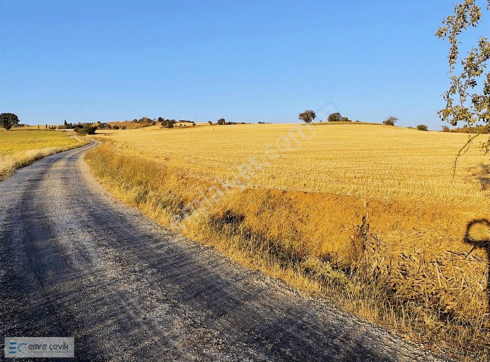 Yenişehir Afşar Köyü Yanında Satılık Tarla 33000m2 - Görsel 32