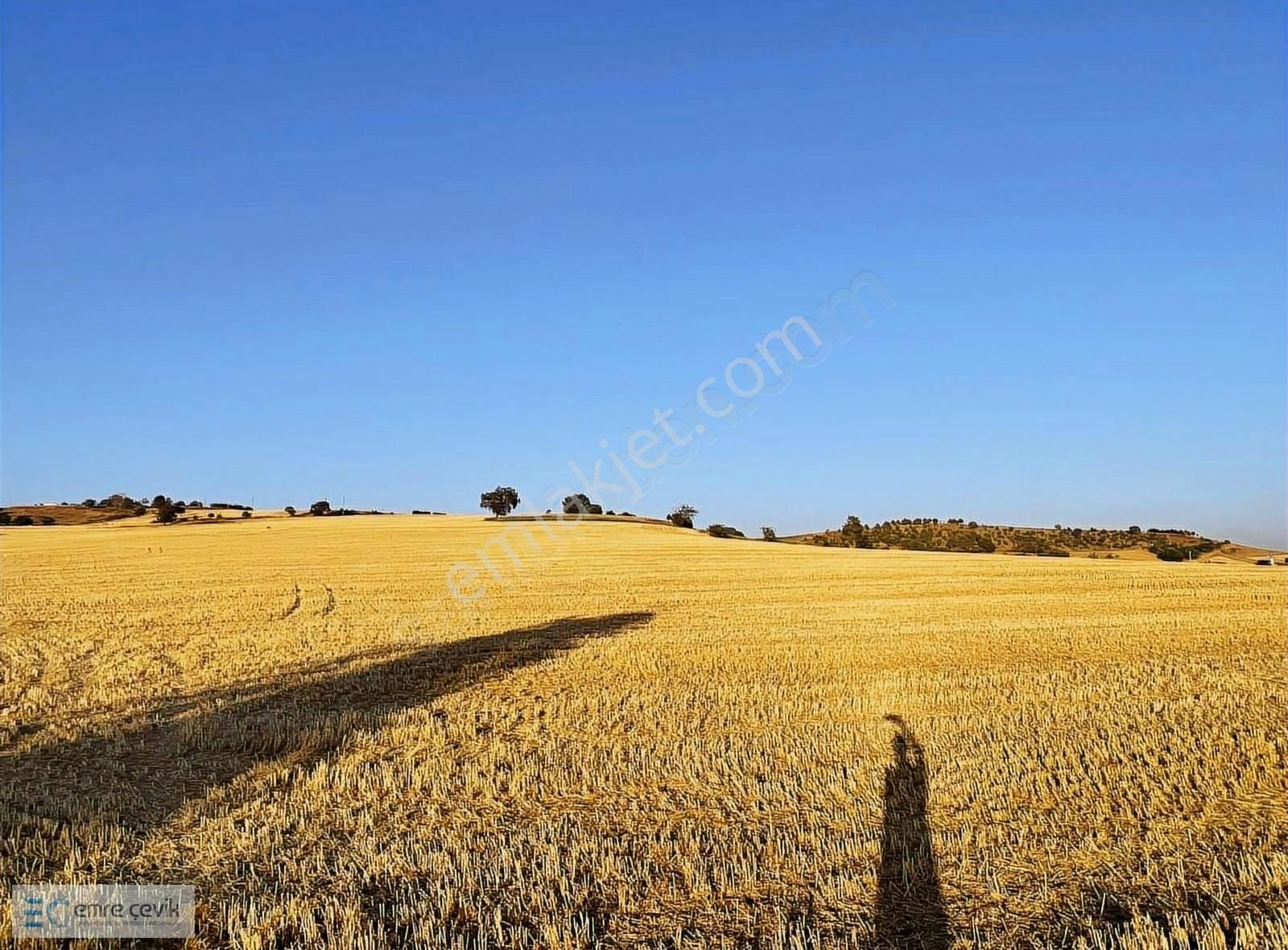 Yenişehir Afşar Köyü Yanında Satılık Tarla 33000m2 - Görsel 29