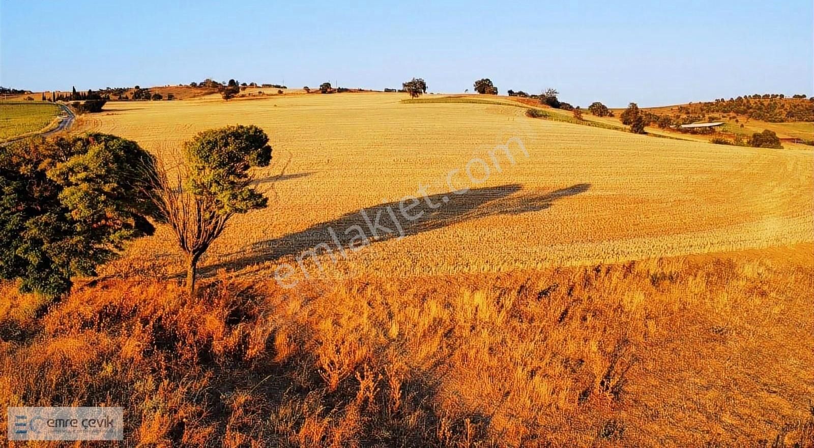 Yenişehir Afşar Köyü Yanında Satılık Tarla 33000m2 - Görsel 10