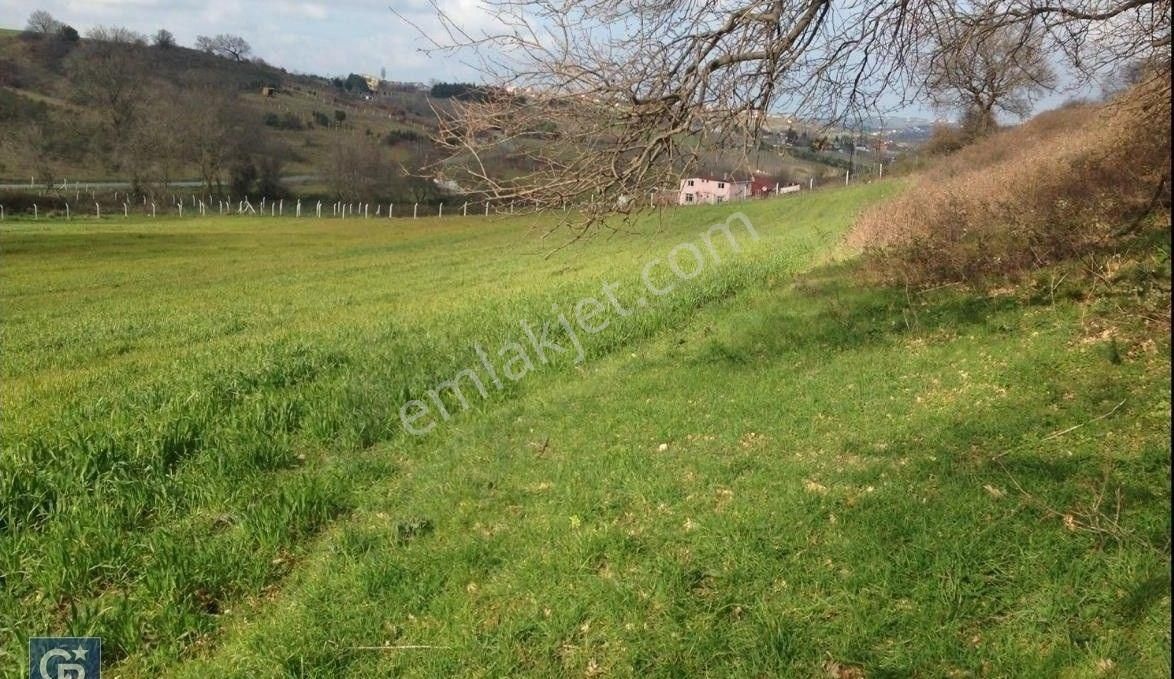 Arnavutköy Tayakadın'da, Havalimanına Sadece 2,5 Km. Satılık 6.160 M2 Tarla - Görsel 18