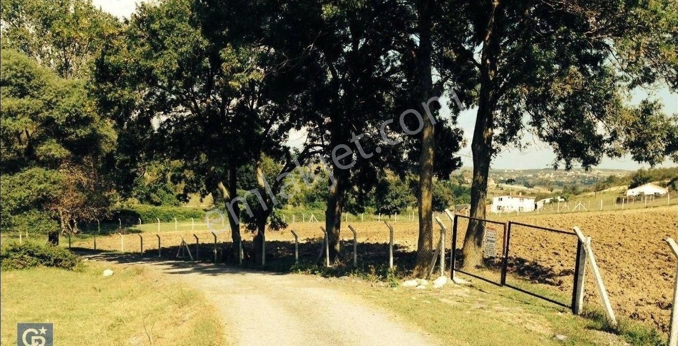 Arnavutköy Tayakadın'da, Havalimanına Sadece 2,5 Km. Satılık 6.160 M2 Tarla - Görsel 15