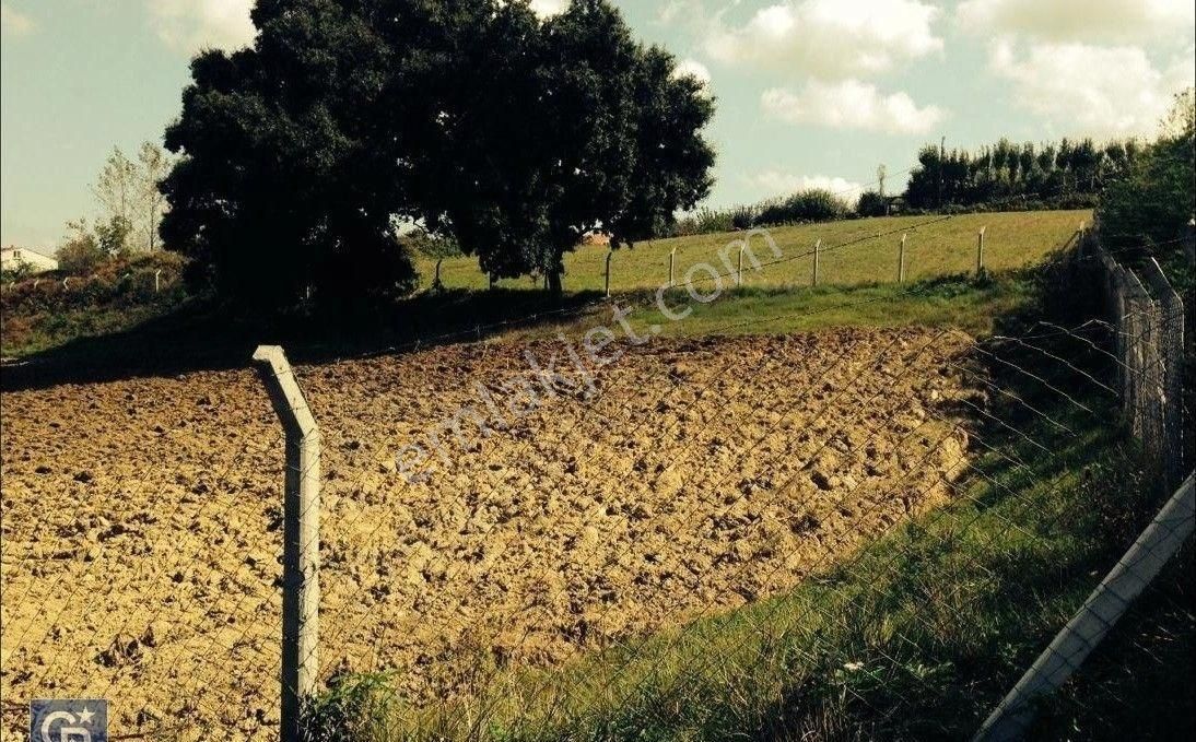 Arnavutköy Tayakadın'da, Havalimanına Sadece 2,5 Km. Satılık 6.160 M2 Tarla - Görsel 4