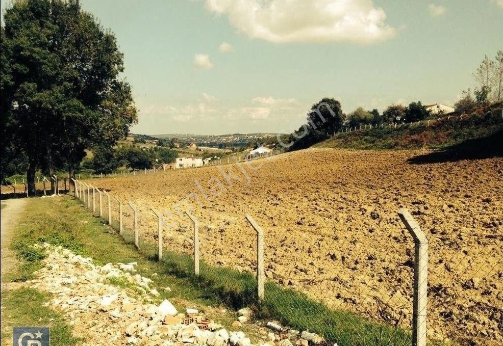 Arnavutköy Tayakadın'da, Havalimanına Sadece 2,5 Km. Satılık 6.160 M2 Tarla - Görsel 8