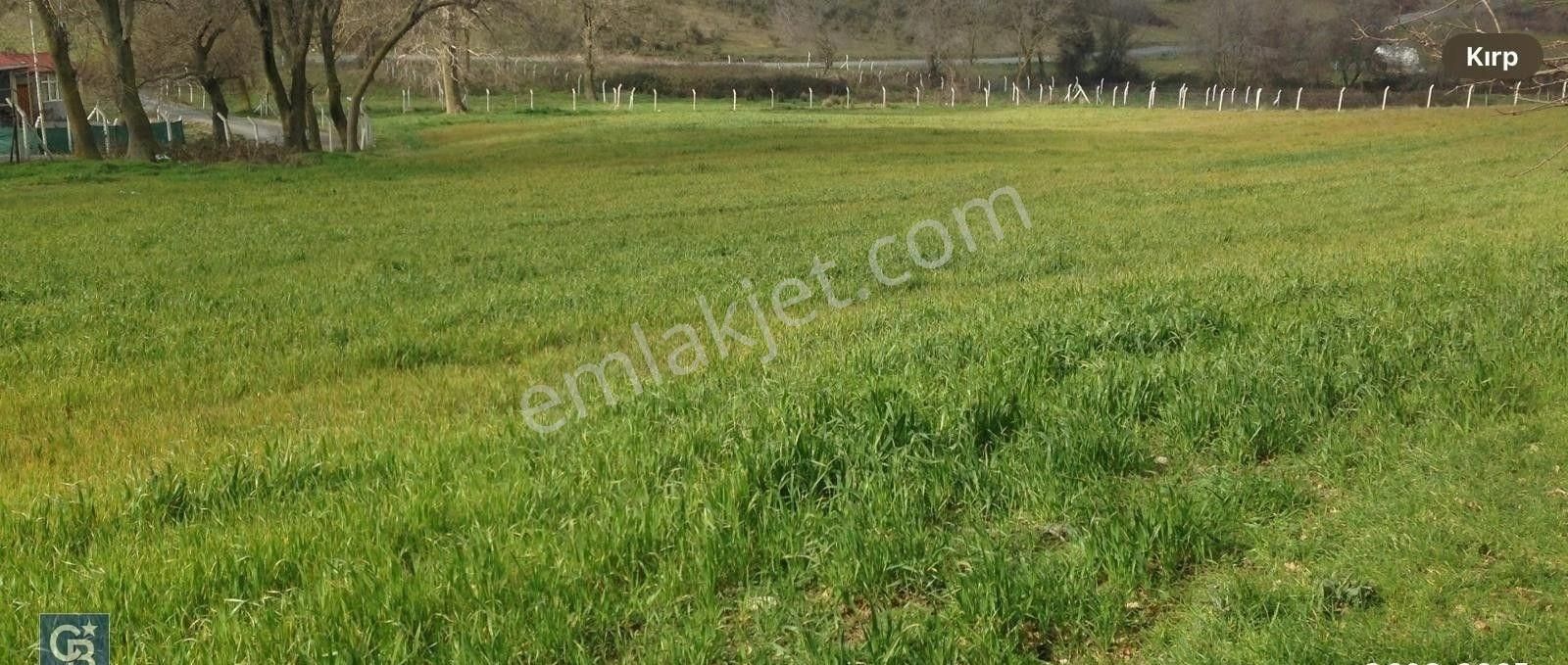 Arnavutköy Tayakadın'da, Havalimanına Sadece 2,5 Km. Satılık 6.160 M2 Tarla - Görsel 12