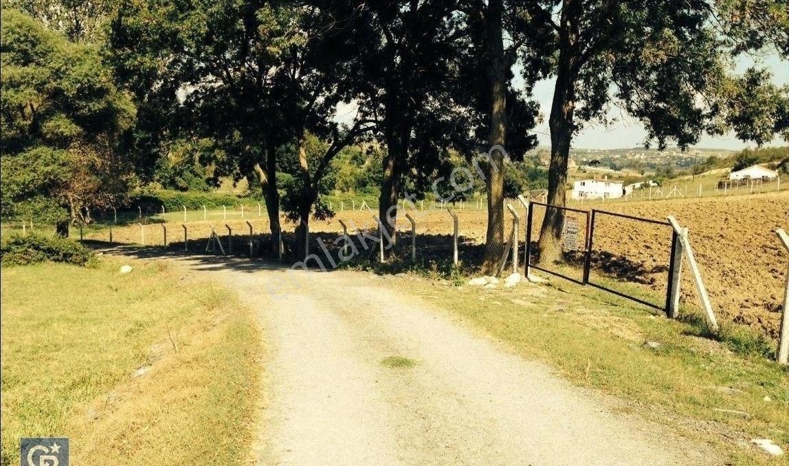 Arnavutköy Tayakadın'da, Havalimanına Sadece 2,5 Km. Satılık 6.160 M2 Tarla - Görsel 13