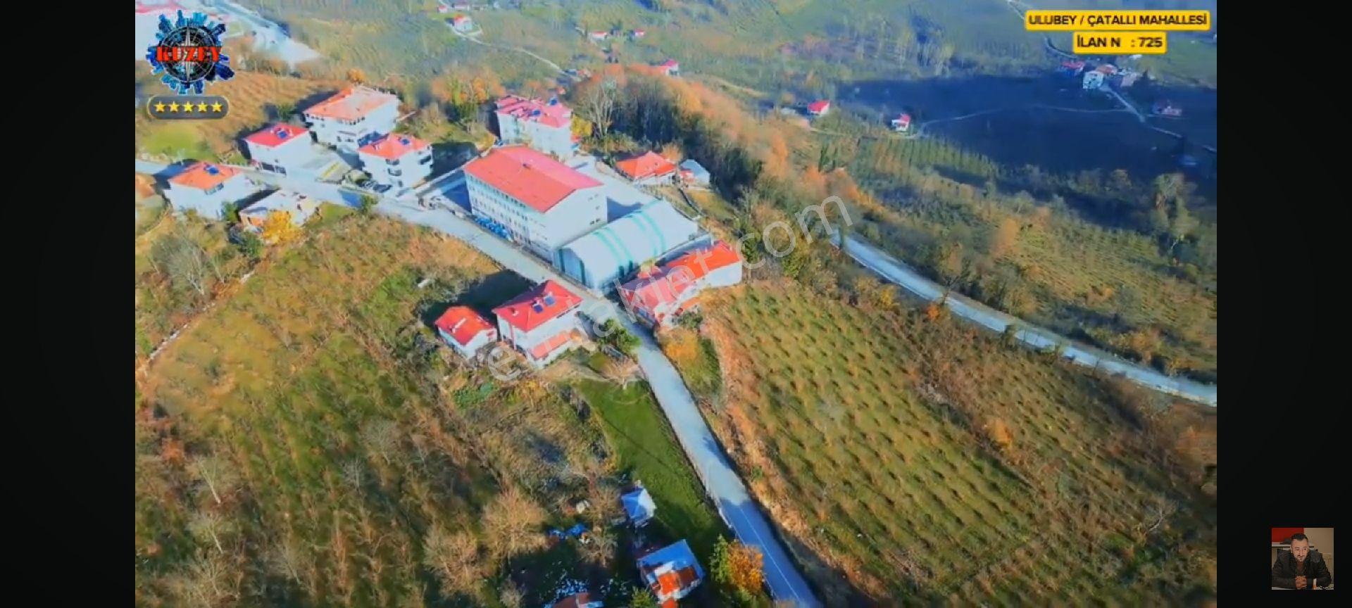 Satılık İmarlı Ulubey / Çatallı Mahallesinde - Görsel 4
