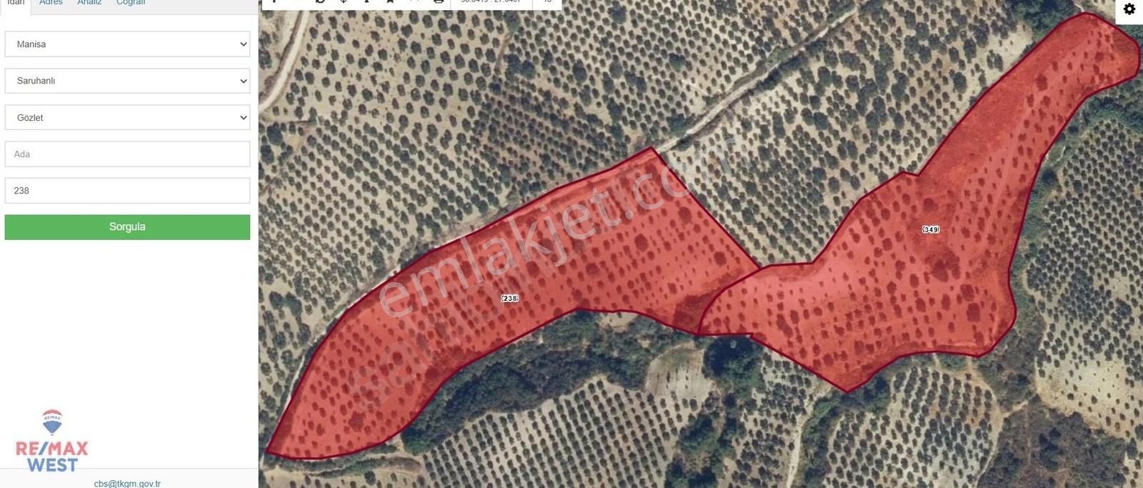Manisa Saruhanlı Gözlet Satılık 2 Parsel 45900 M2 Zeytinli Tarla