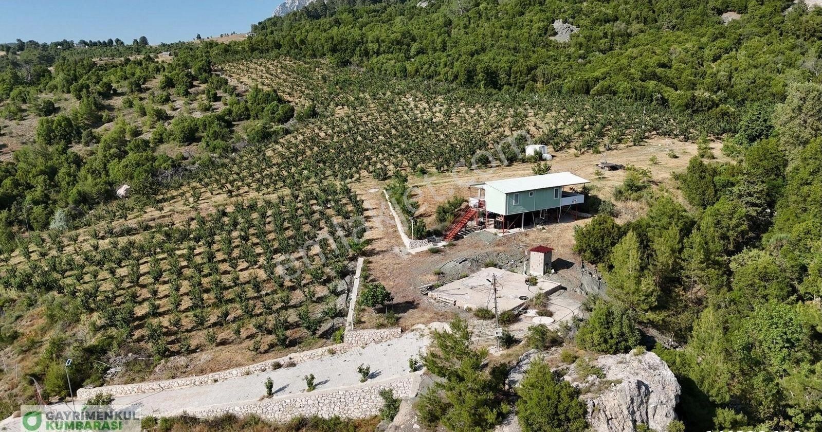 Antalya Kumluca Gölcük Mah. Ana Yol Üzeri 15.232 M2 Bahçe - Görsel 13