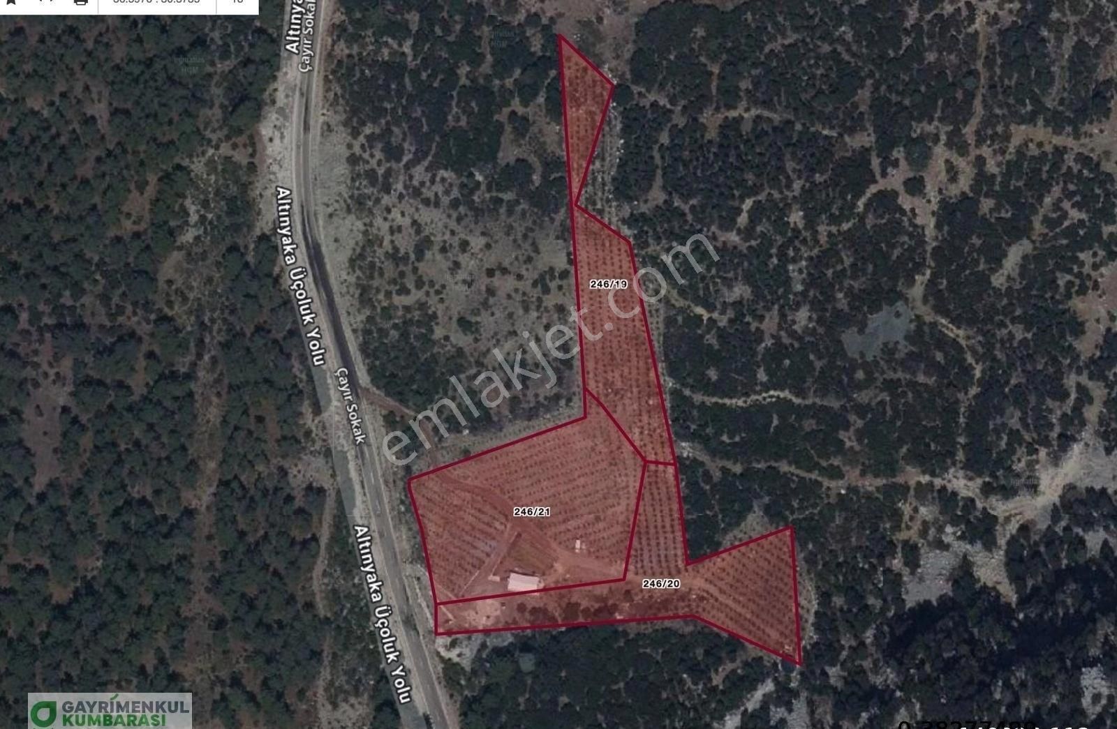 Antalya Kumluca Gölcük Mah. Ana Yol Üzeri 15.232 M2 Bahçe - Görsel 22