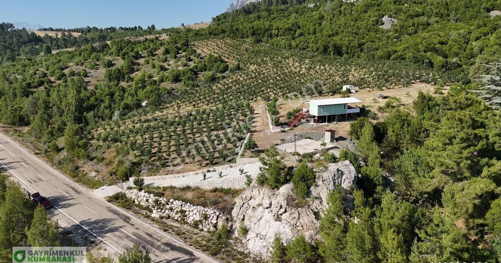 Antalya Kumluca Gölcük Mah. Ana Yol Üzeri 15.232 M2 Bahçe - Görsel 33