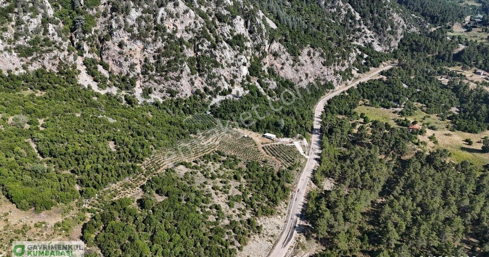 Antalya Kumluca Gölcük Mah. Ana Yol Üzeri 15.232 M2 Bahçe - Görsel 21