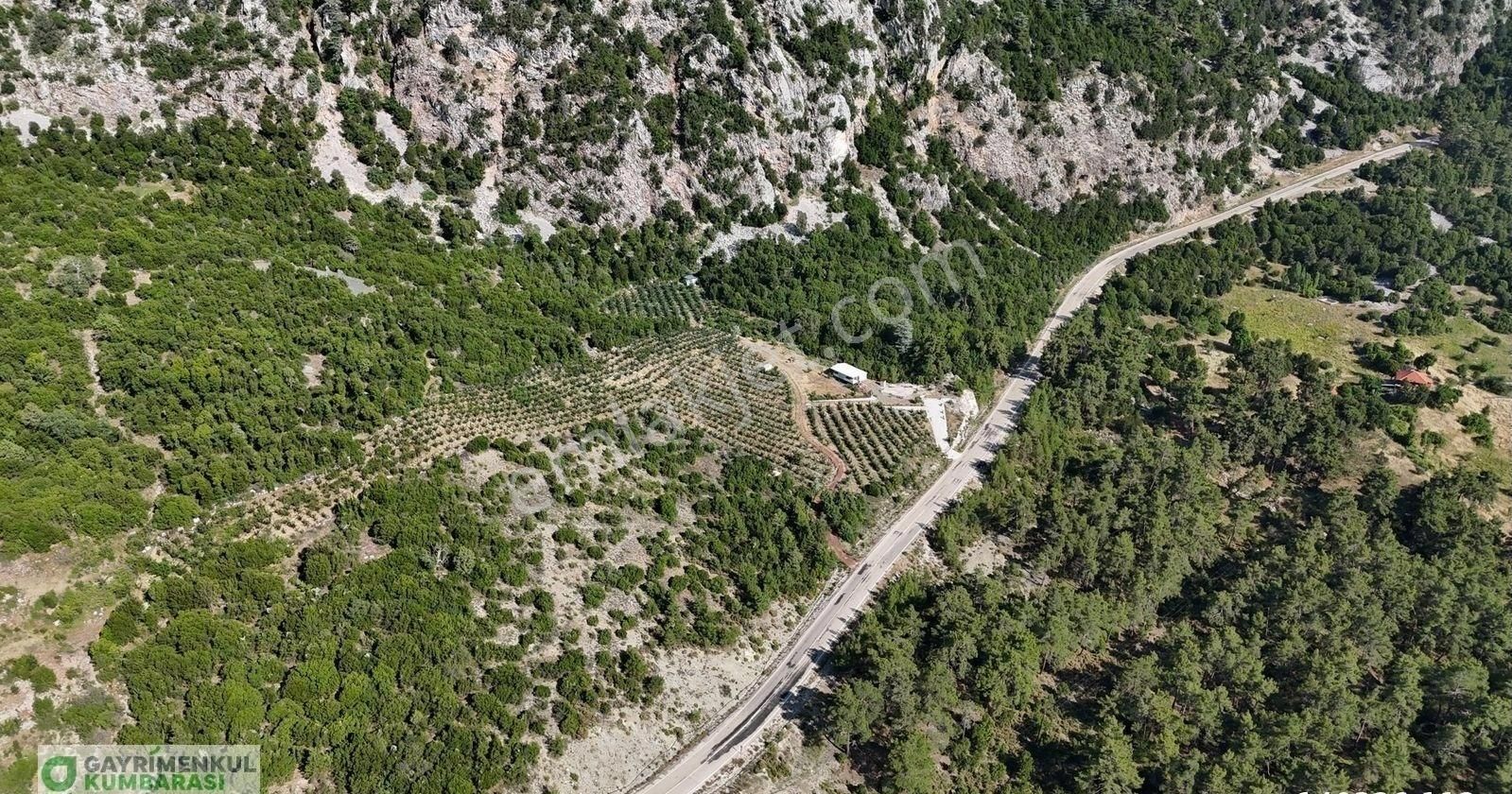 Antalya Kumluca Gölcük Mah. Ana Yol Üzeri 15.232 M2 Bahçe - Görsel 11