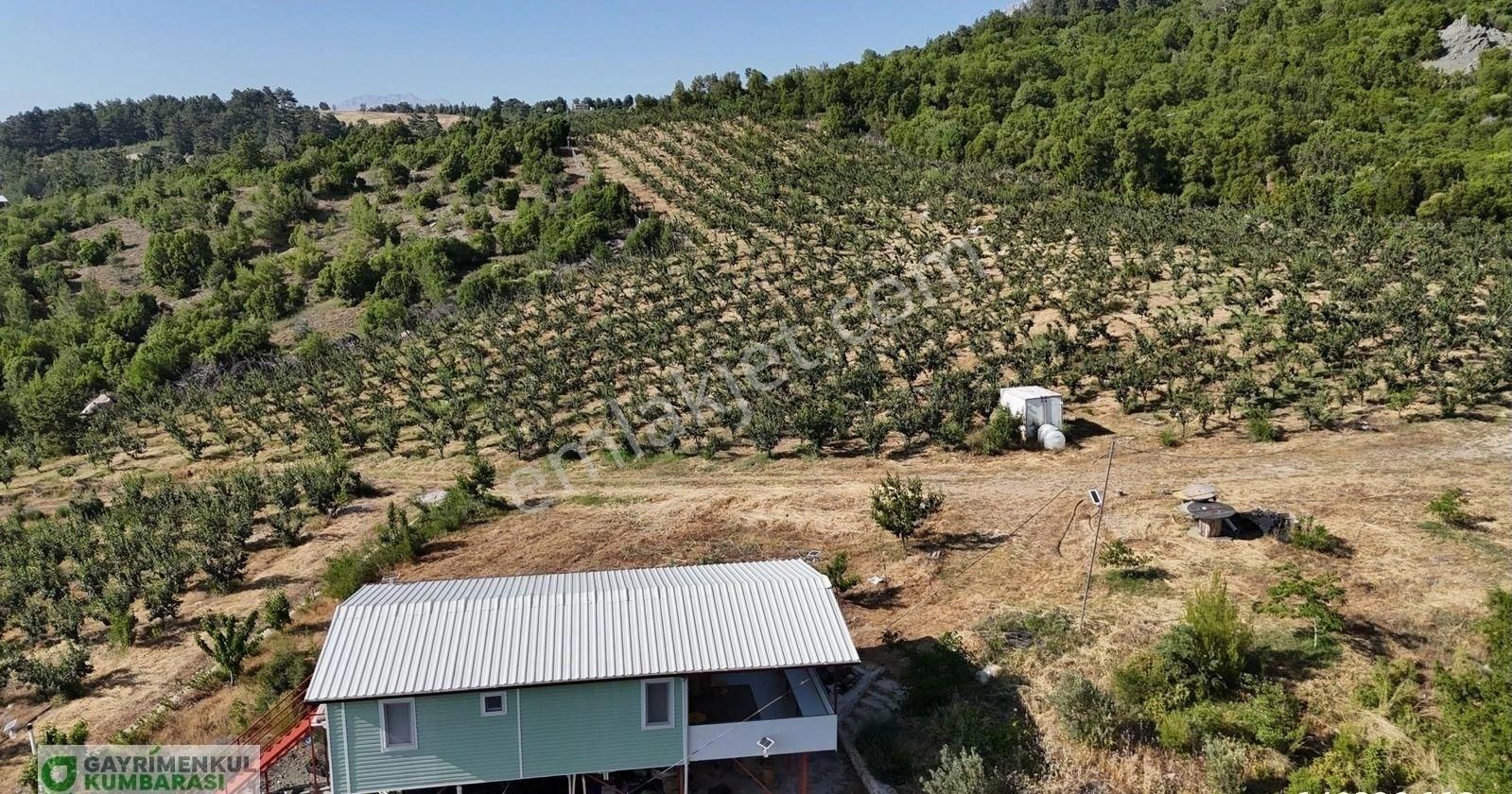 Antalya Kumluca Gölcük Mah. Ana Yol Üzeri 15.232 M2 Bahçe - Görsel 20