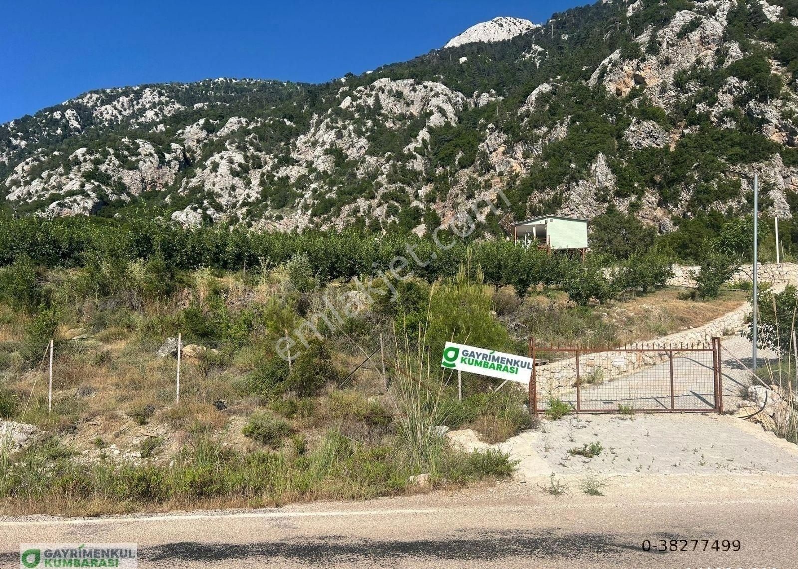 Antalya Kumluca Gölcük Mah. Ana Yol Üzeri 15.232 M2 Bahçe - Görsel 4