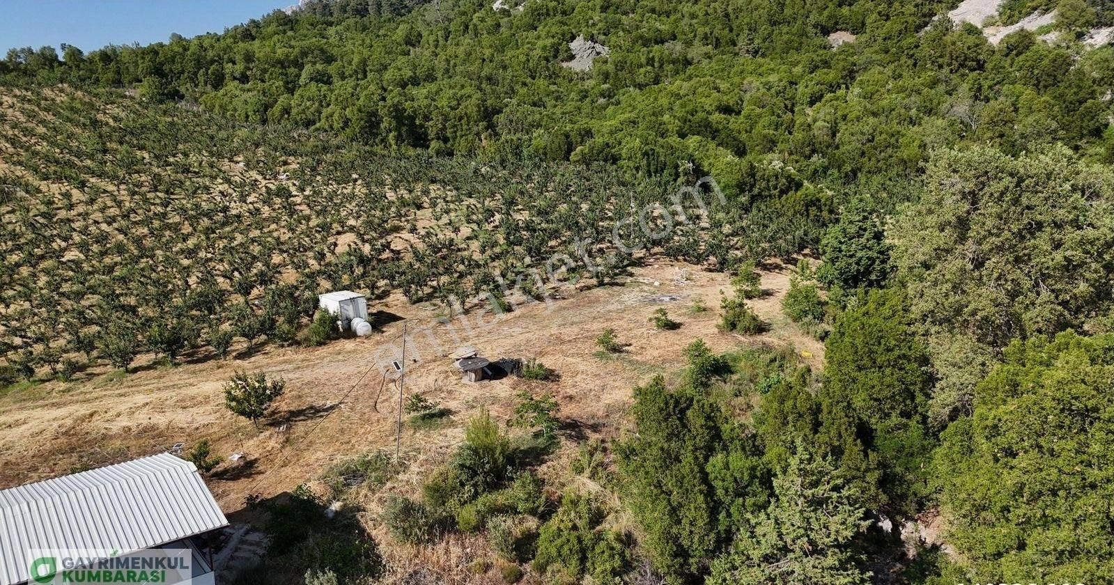 Antalya Kumluca Gölcük Mah. Ana Yol Üzeri 15.232 M2 Bahçe - Görsel 31