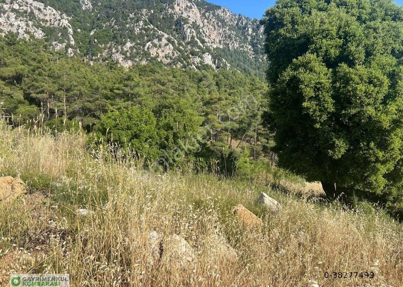 Antalya Kumluca Gölcük Mah. 2777 M2 Müstakil Arazi - Görsel 24