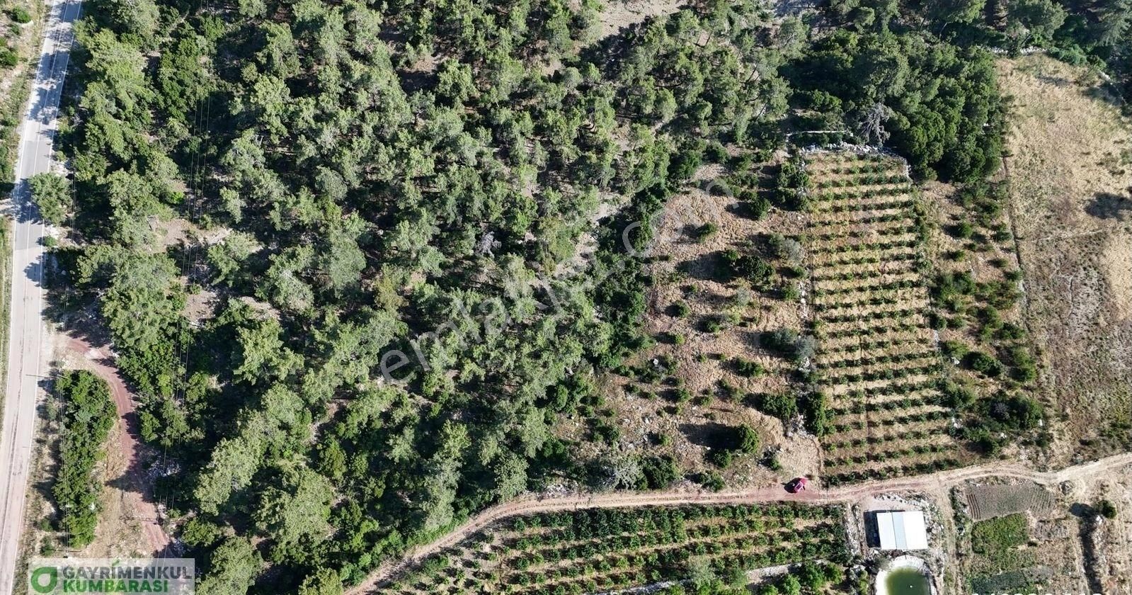 Antalya Kumluca Gölcük Mah. 2777 M2 Müstakil Arazi - Görsel 16