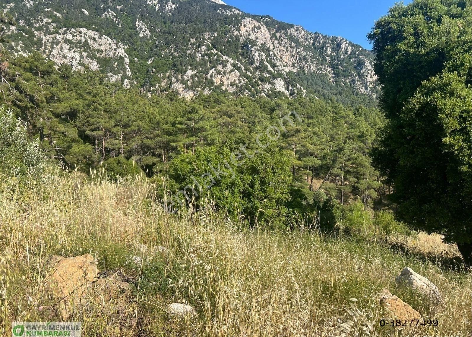 Antalya Kumluca Gölcük Mah. 2777 M2 Müstakil Arazi - Görsel 15