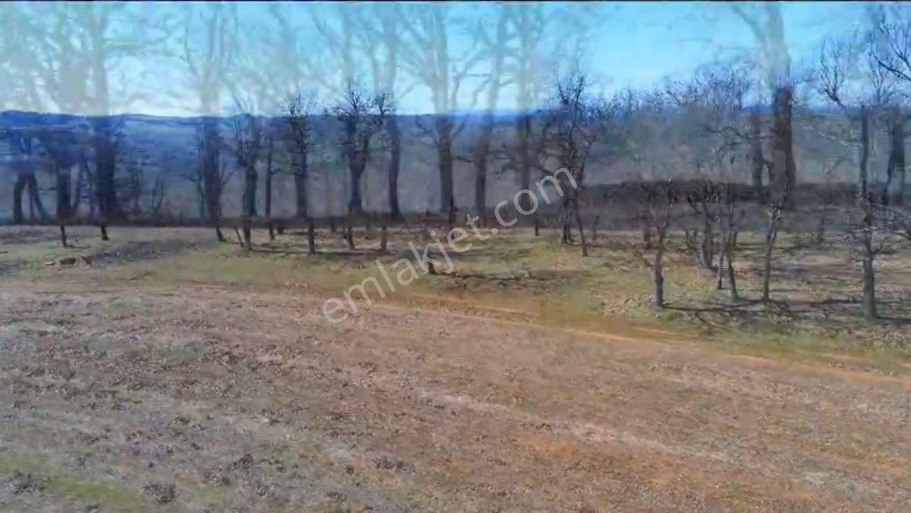 Kırklareli-kofçaz Terzidere Köyünde Tarla - Görsel 6