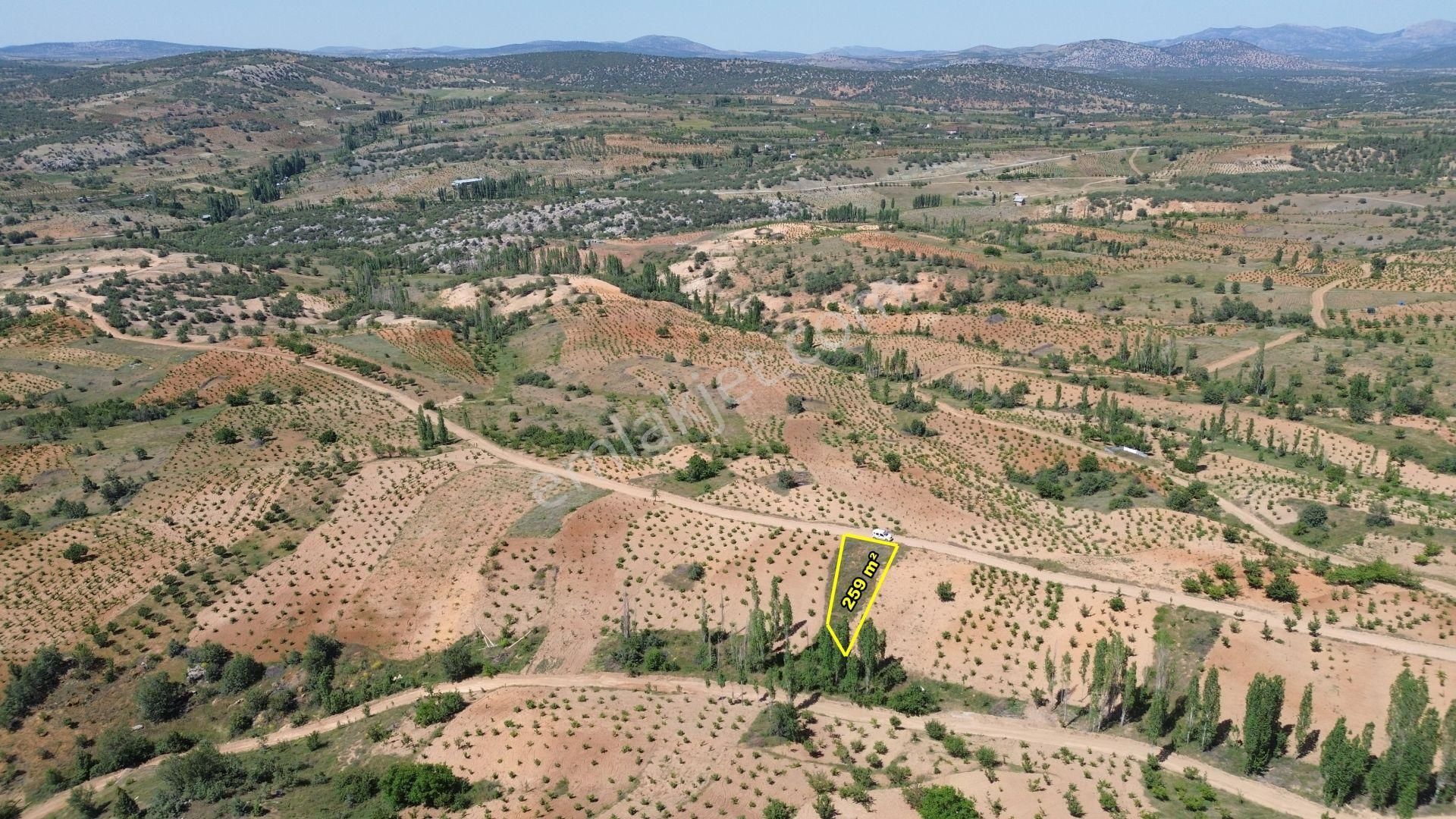 Konya / Bozkır / Hamzalar Da 259 M2 Müstakil Tapulu Bahçe