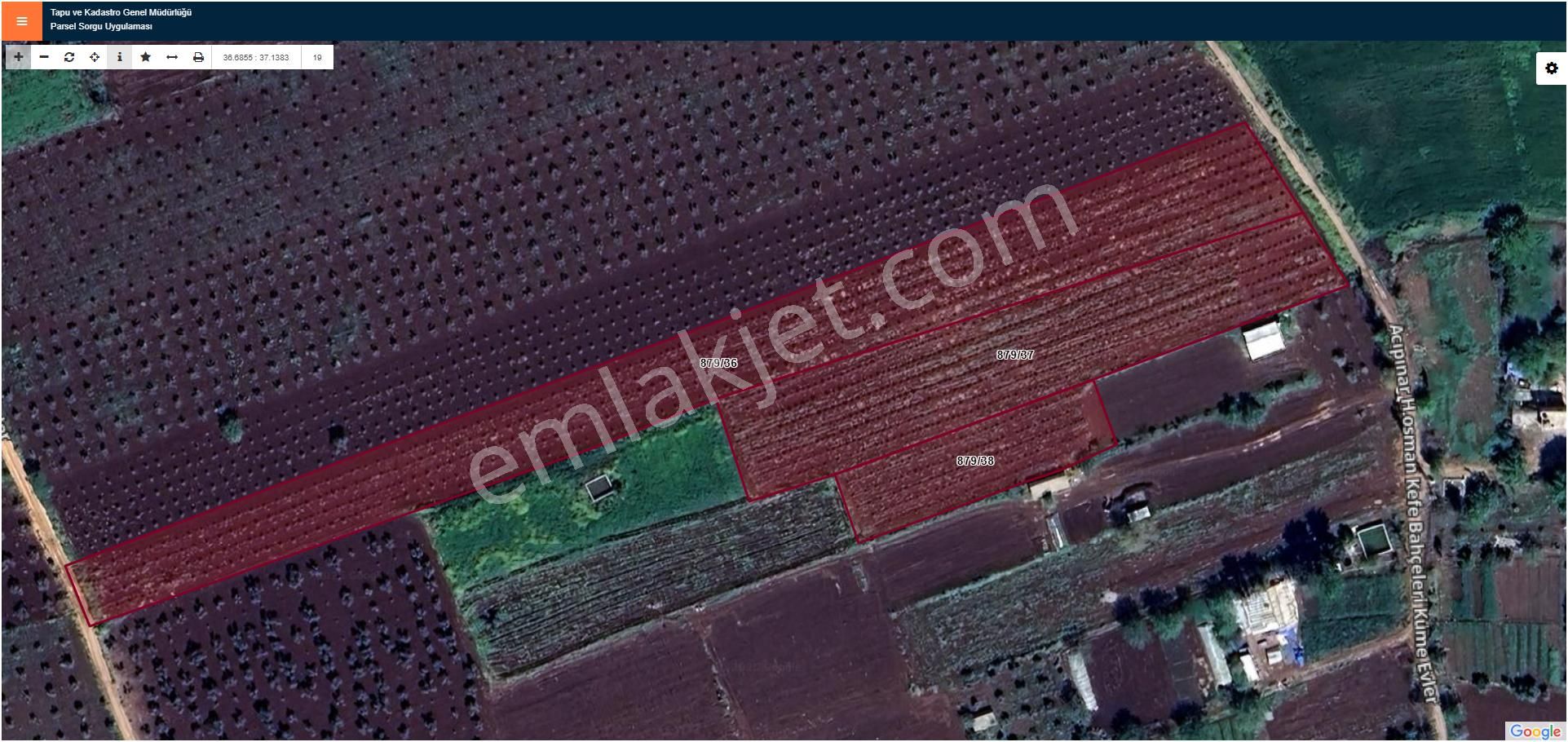 Hadi Gayrimenkul Ve Haritadan Şıh Mansur'da 3 Parça Satılık Zeytinlik