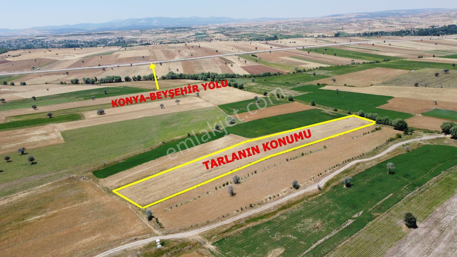 Konya / Beyşehir / Damlapınar Mahallesinde 3.105 M² Hisse Tapulu Tarla