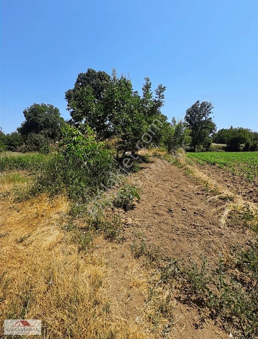 Derekadı 177 M2 Hobi Bahçesi - Görsel 17
