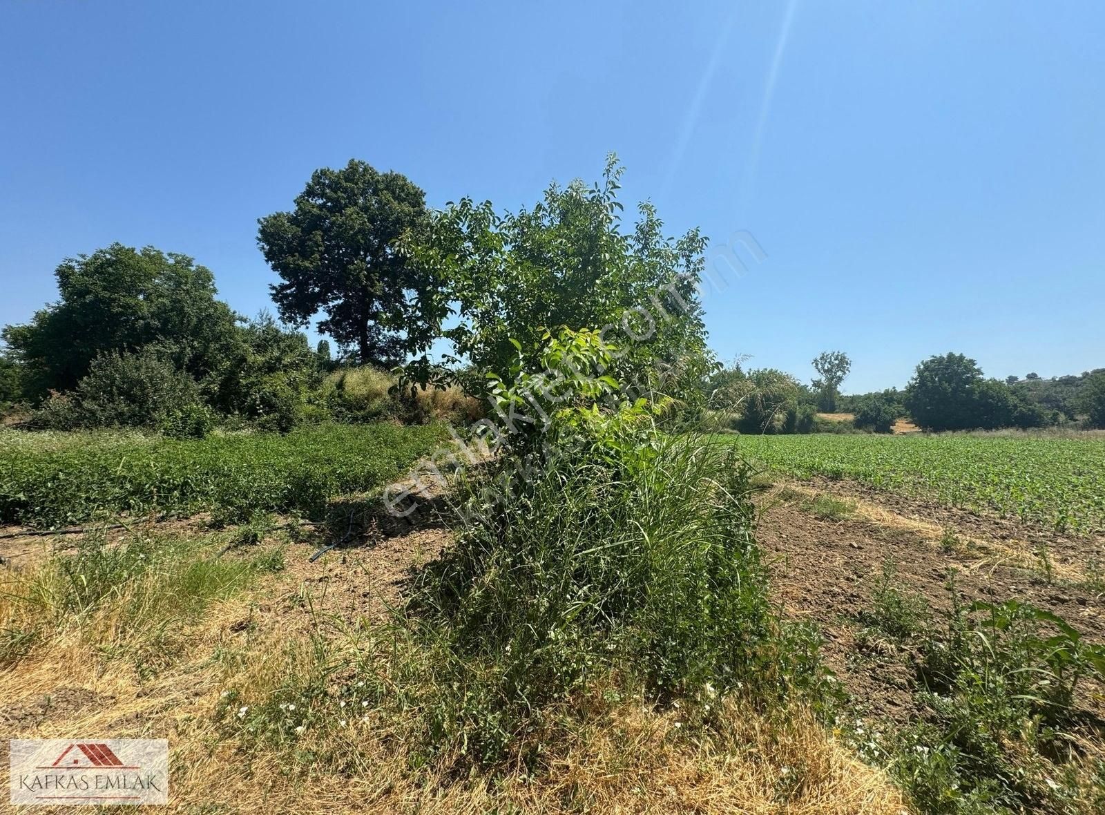 Derekadı 177 M2 Hobi Bahçesi - Görsel 16
